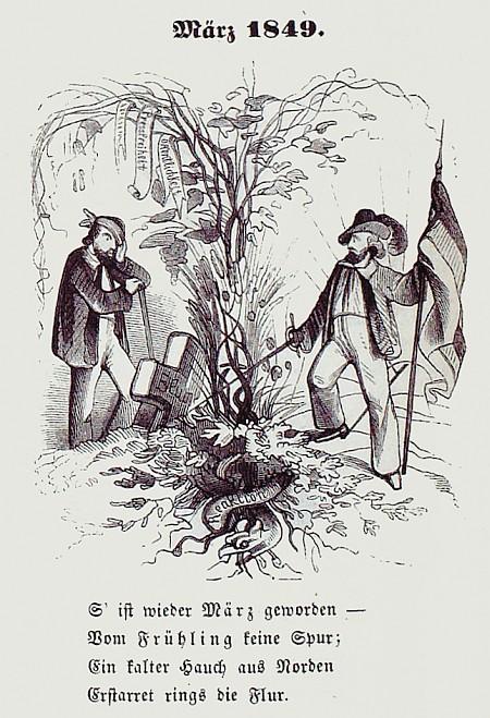 abbildung_1.jpg